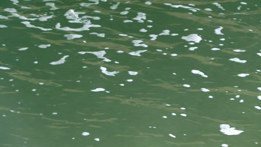 Polluted Water