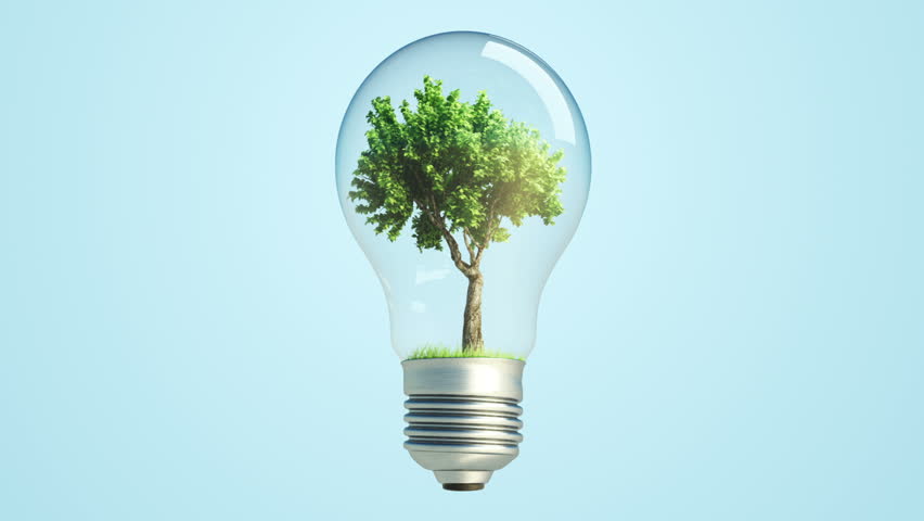 360' Rotation Of green Tree Inside A Bulb Lamp with falling leaves on grass, seamless loop + Alpha Channel (for compositing) Extreme High resolution render for FullHD 