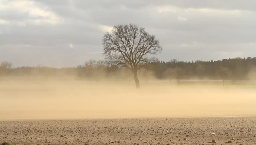 Sandstorm
