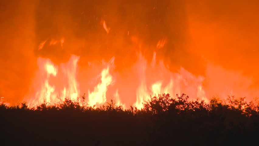 Great fire in prairy