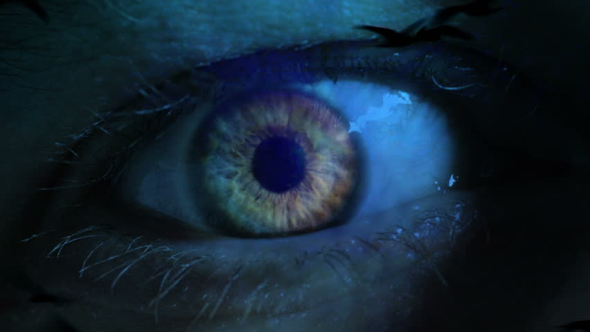 creepy eye birds and bats halloween background stock footage video 11314769 shutterstock - Halloween Background Video creepy eye birds and bats halloween background stock footage video 11314769 shutterstock - Halloween Background Video