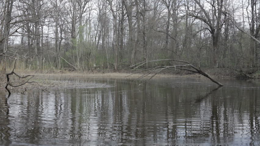 Kayak, river