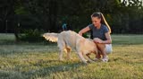 girl play with dog in park