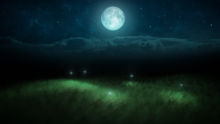 Fireflies loop