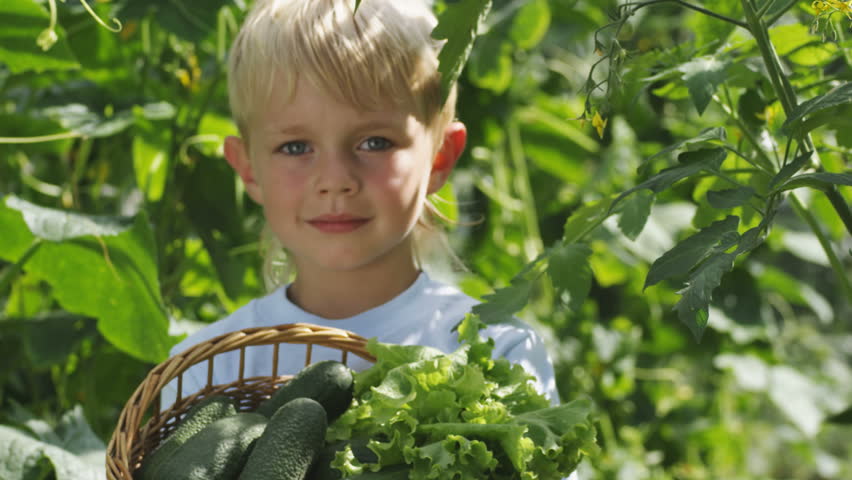 Boy carrying cucumber basket. Shot on RED at 50fps.