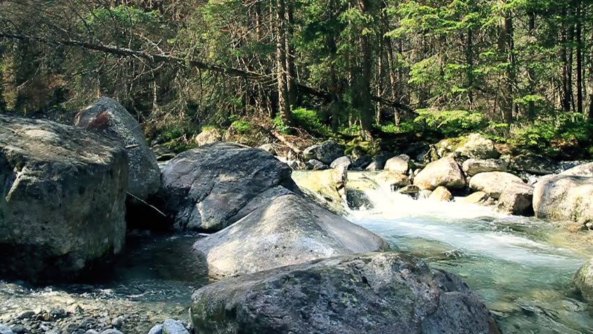 Mun running, jumping on the rocks in the forest stream, slow motion 
