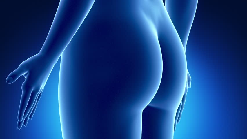 Female scan REPRODUCTIVE ORGANS anatomy in blue x-ray loop