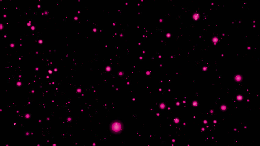 Falling Pink Sparkles Against Black Background Stock Footage Video