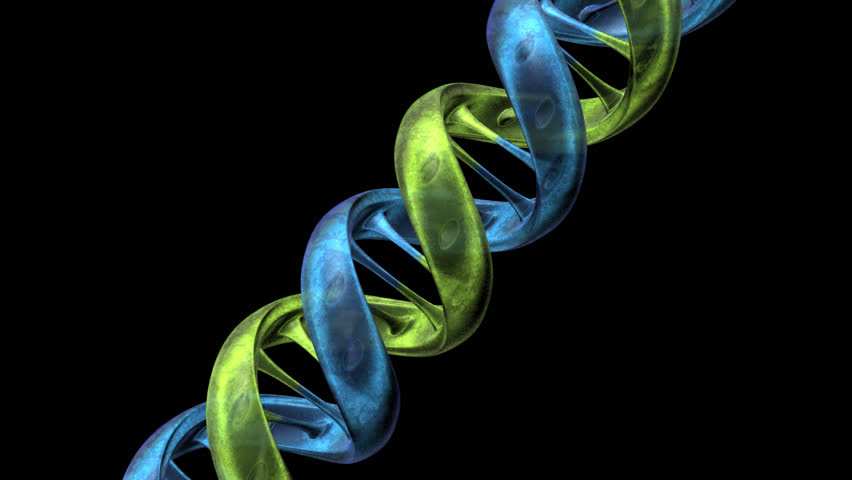Animated DNA strand.