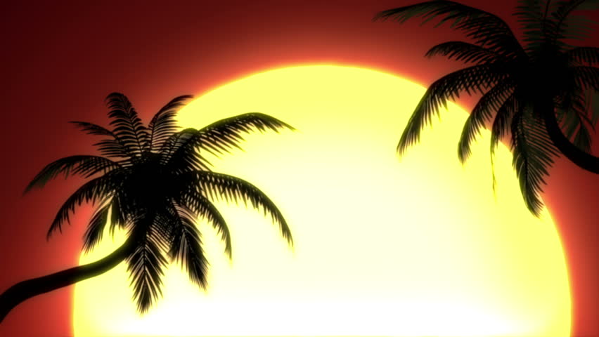 Sunny vacation, airplane landing at sunset. beautiful 3d animation