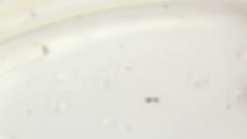 Macro HD footage of a focus pull into a group of mosquito larvae on a white background with wrigglers (larvae) actively swimming around.
