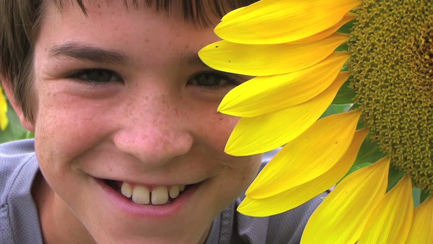 Boy Beside Sunflower
