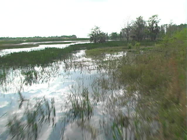 A view of the northernmost part of the Florida everglades from aboard an airboat.  Mini DV with film emulation.  Shot at West Lake Tohopekaliga ("Lake Toho") in Kissimmee, Florida.