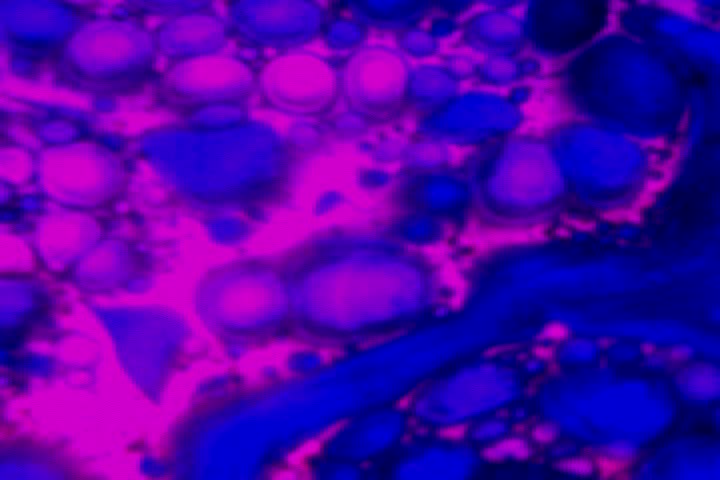 purple and blue lava liquids with bubble
