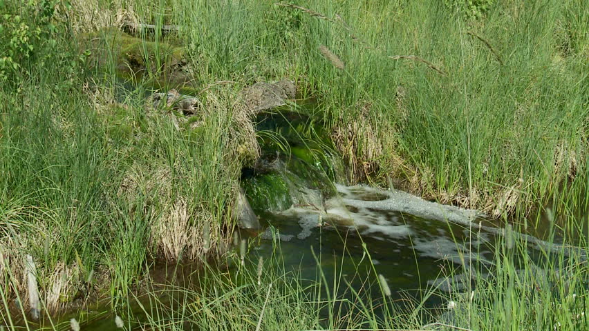 stream
