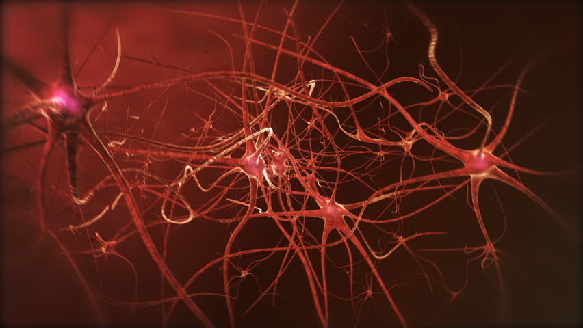Neuron network. Neurons structure sending electric impulses and communicating each other. 3D animation. Looping.