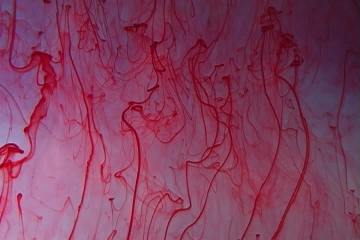 Red ink elegantly flowing in a liquified chamber.