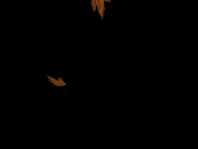 close up falling orange, brown and yellow autum leaves