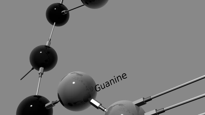 DNA chain 3D animation. Rendered in HD.