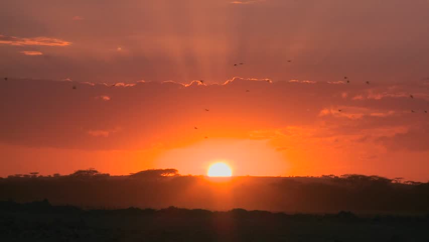 A radiant sunrise on the plains of Africa.