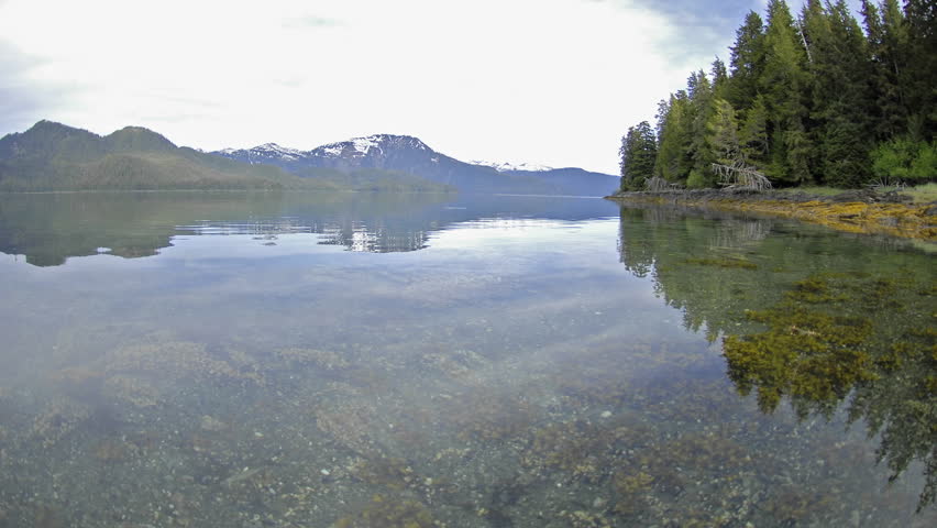 Fast time lapse with motion of the tide retreating on Pond Island next to Kelp Bay off of Baranof Island in Southeast Alaska.