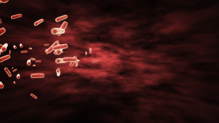 Abstract Microscopic Ecoli Bacteria.