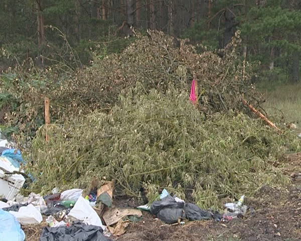 Huge heap of garbage left at the forest. Environmental pollution. 