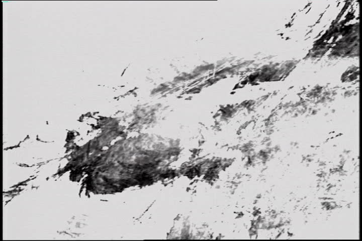 Black ink splats on white background