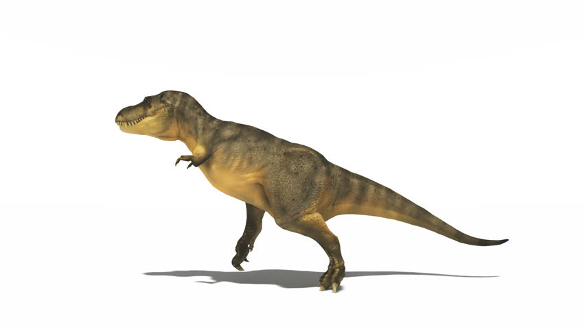 dinosaur