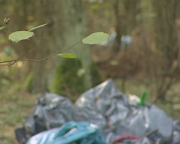 Garbage spilled in deep forest. Environmental pollution 