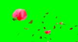 flying Roses rose valentine wedding love petal falling red flower romantic