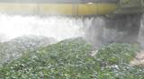 agriculture toxic tractor spraying pesticides crops fertilize organic duster