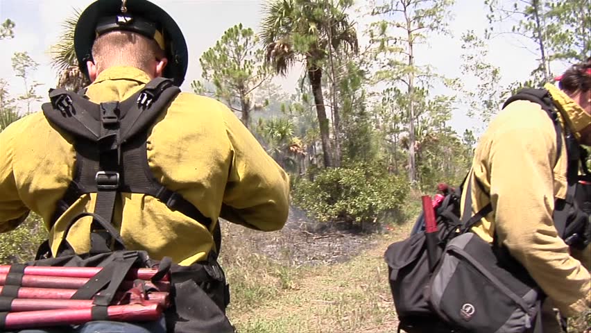 EVERGLADES, FL - CIRCA 2009: Firefighter communicates with weather forecaster during a prescribed fire circa 2009 in the Everglades.