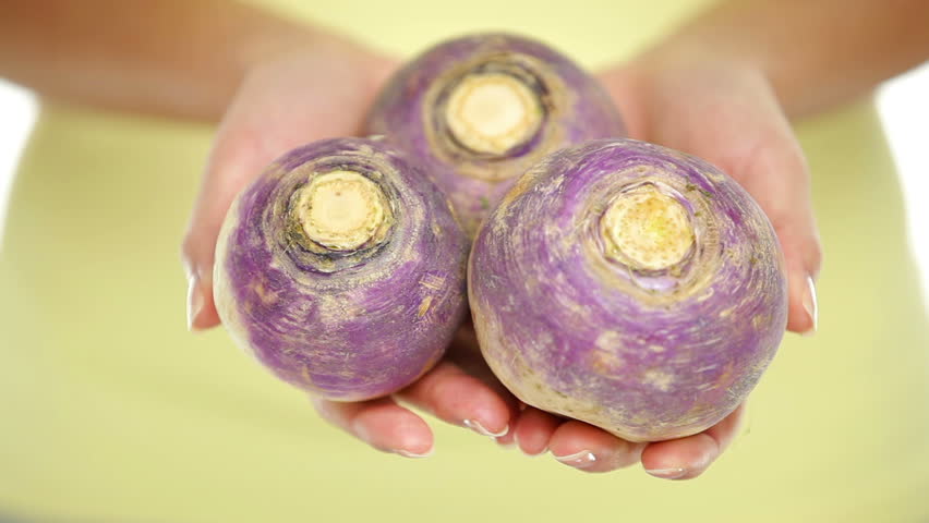 rutabaga, turnip. Woman showing showing rutabaga vegetable in closeuo