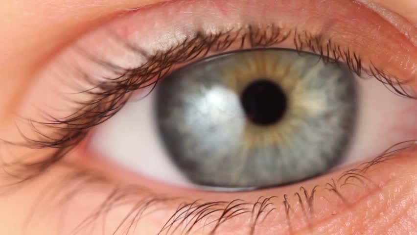 Single eye closeup, eyelid lifts and pupil expands, blinking several times