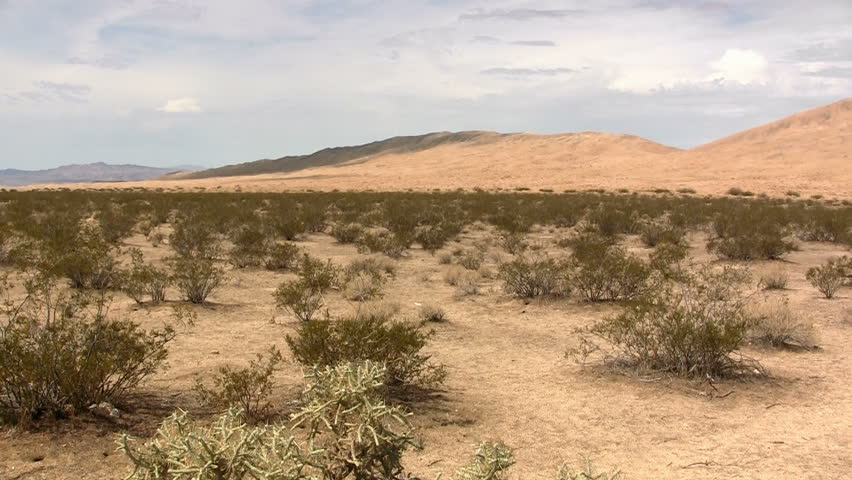 Overview of Kelso Dune Field in Mojave National Preserve, California 