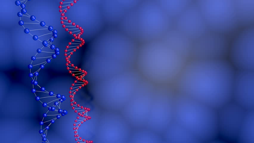 Blue background with rotating DNA double helices
