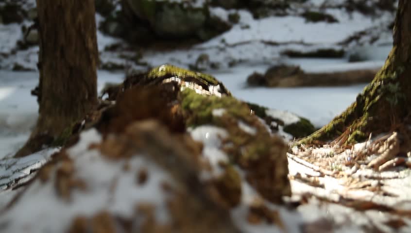 Frosted river bank with stream below