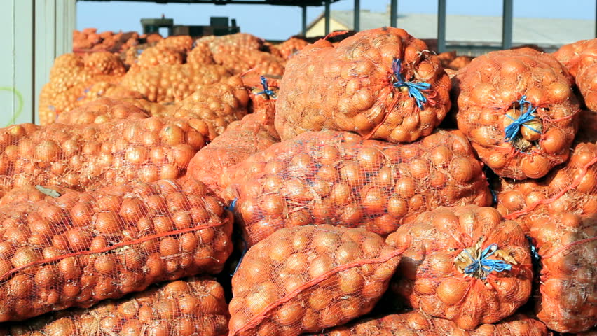 Young farmer carrying a sack of onions in the warehouse.  HD 1080i.