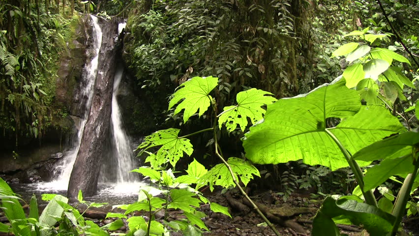 Waterfall in the Nambillo Valley, near Mindo, Ecuador