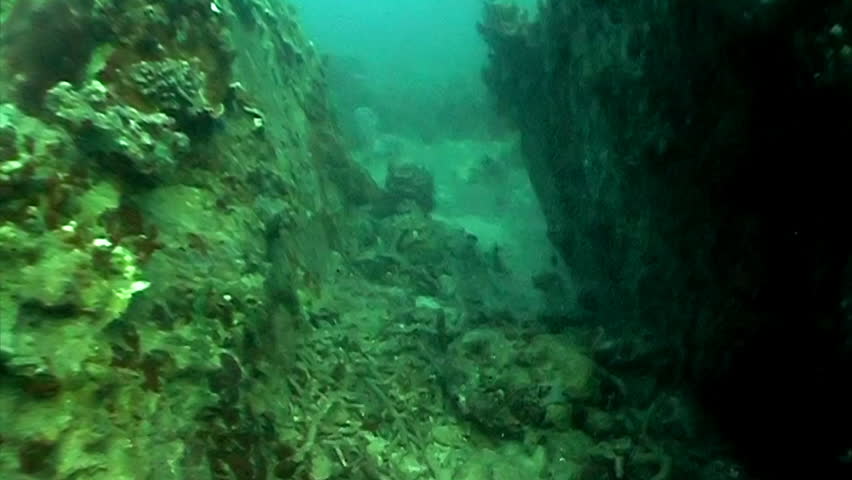 Swimming along the underwater cliff