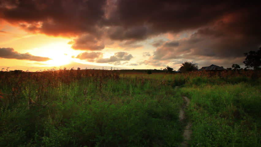 Children run through a cornfield at sunset near a village in Kenya two hours north of the African city Mombassa.