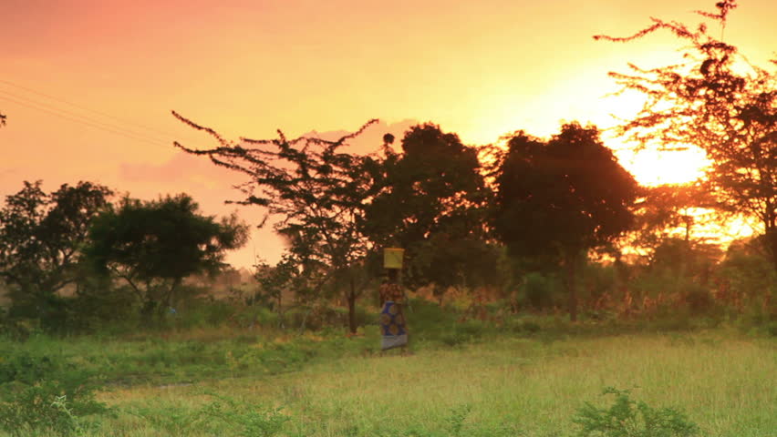 A woman carries water at dawn in a village in Kenya two hours north of the Africa city Mombassa.