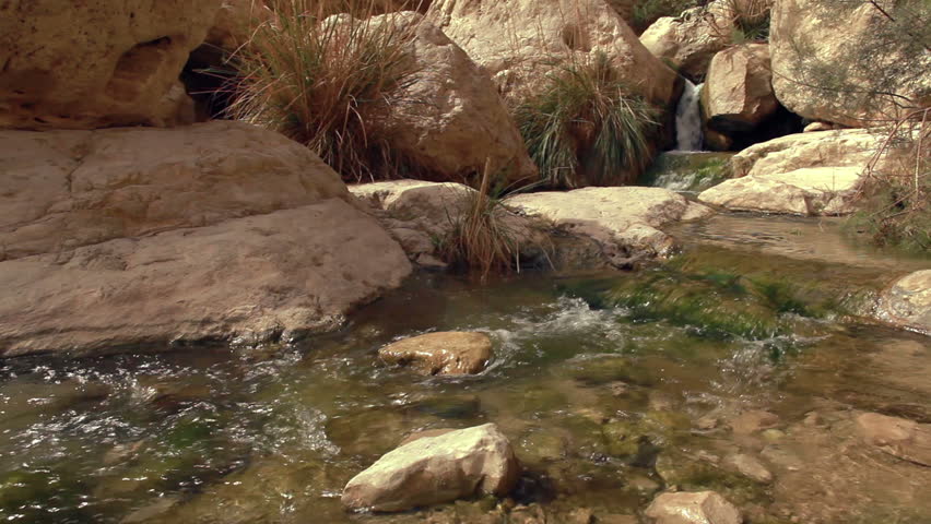 A dolly slider across a stream with a small waterfall in the background at the Ein Gedi Nature Reserve in Israel.
