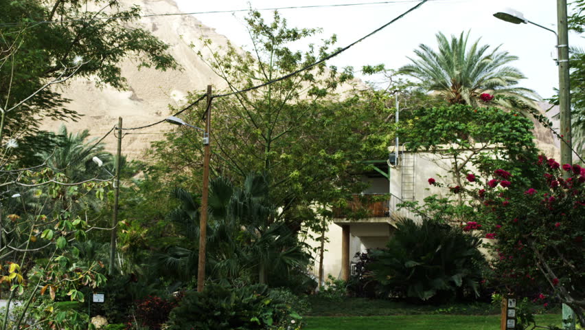 Still shot of a residence with trees, grass, flowers, shrubs, light pole and telephone poles, at the Kibbutz in Ein Gedi Israel. 