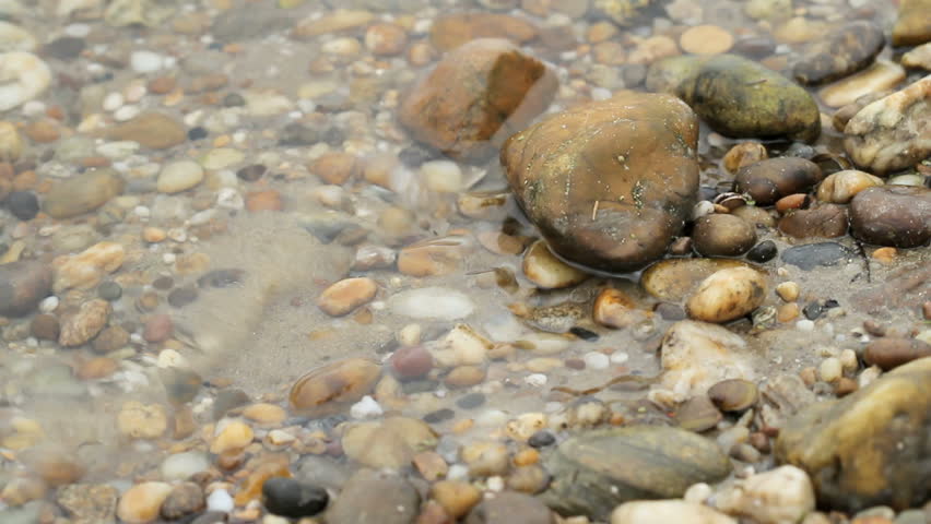 pebble on the water