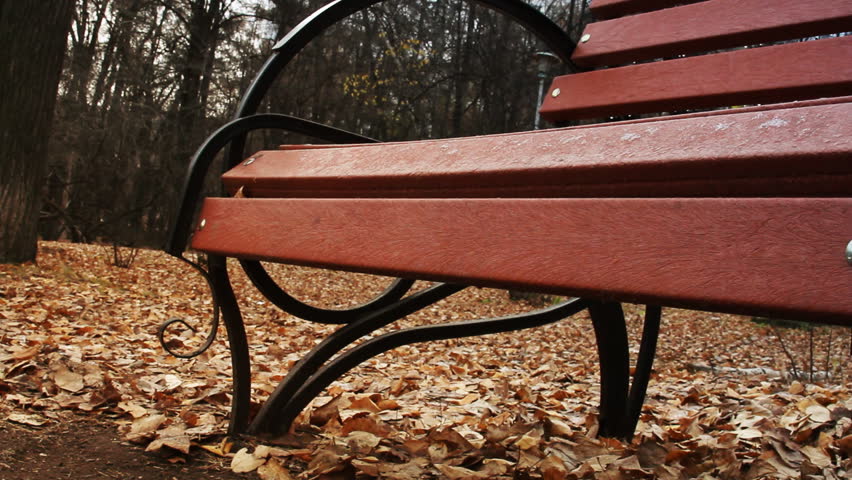 autumn Park