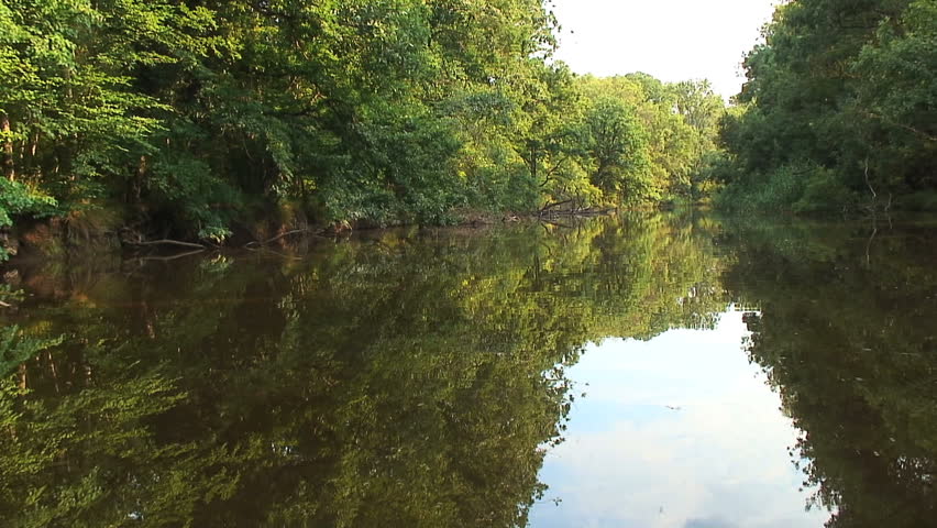 Cruising the Bulgarian Black Sea Swamp