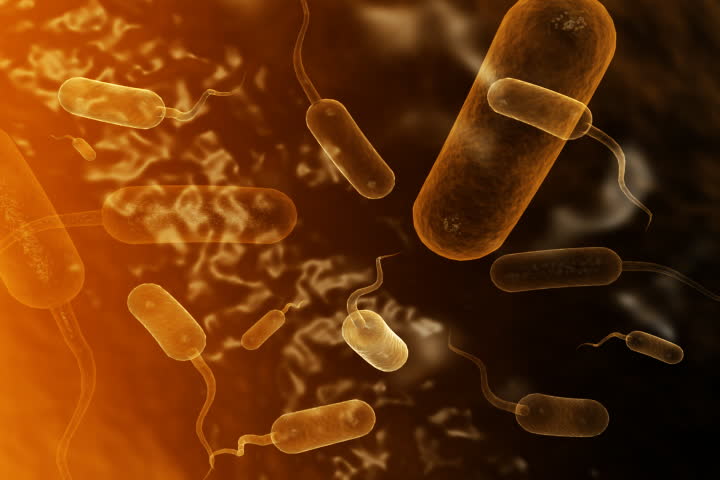 footage of  flagella virus
