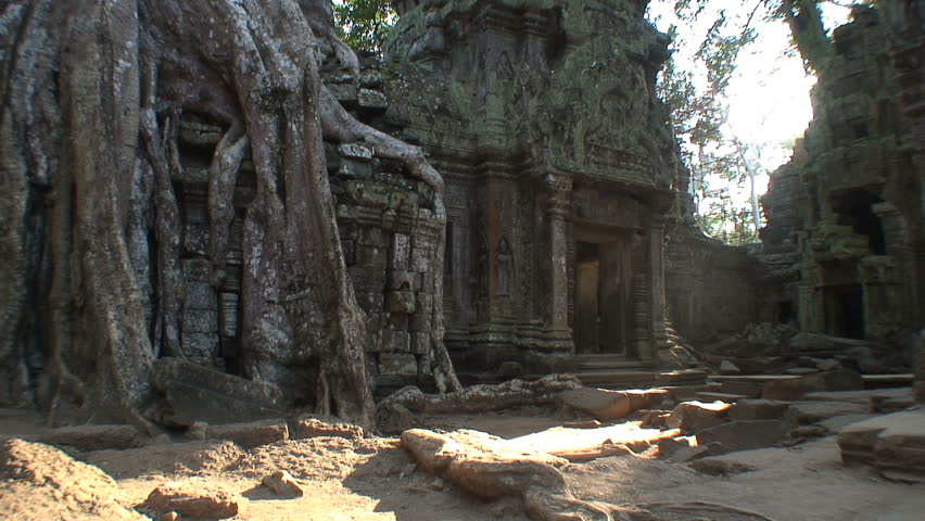 Tree roots covering part of Ta Prohm Temple